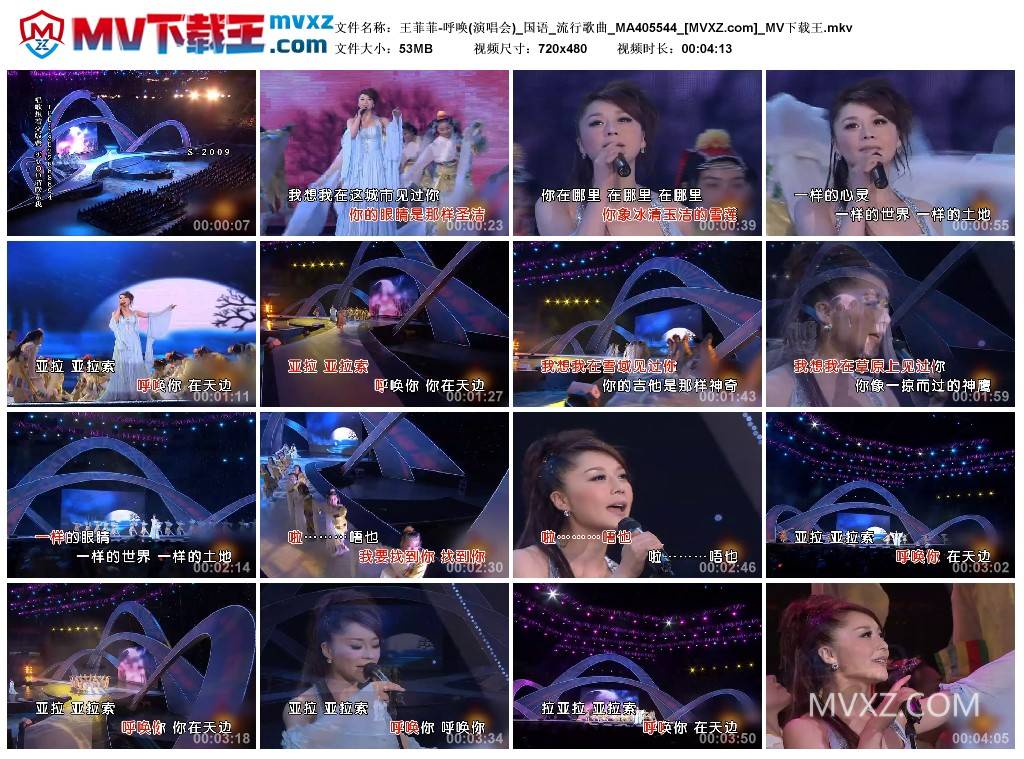 王菲菲-呼唤(演唱会)_国语_流行歌曲_MA405544